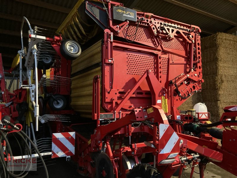 Kartoffelroder vrste Grimme Evo 260 UB Nonstop, Gebrauchtmaschine v Bockel - Gyhum (Slika 2)