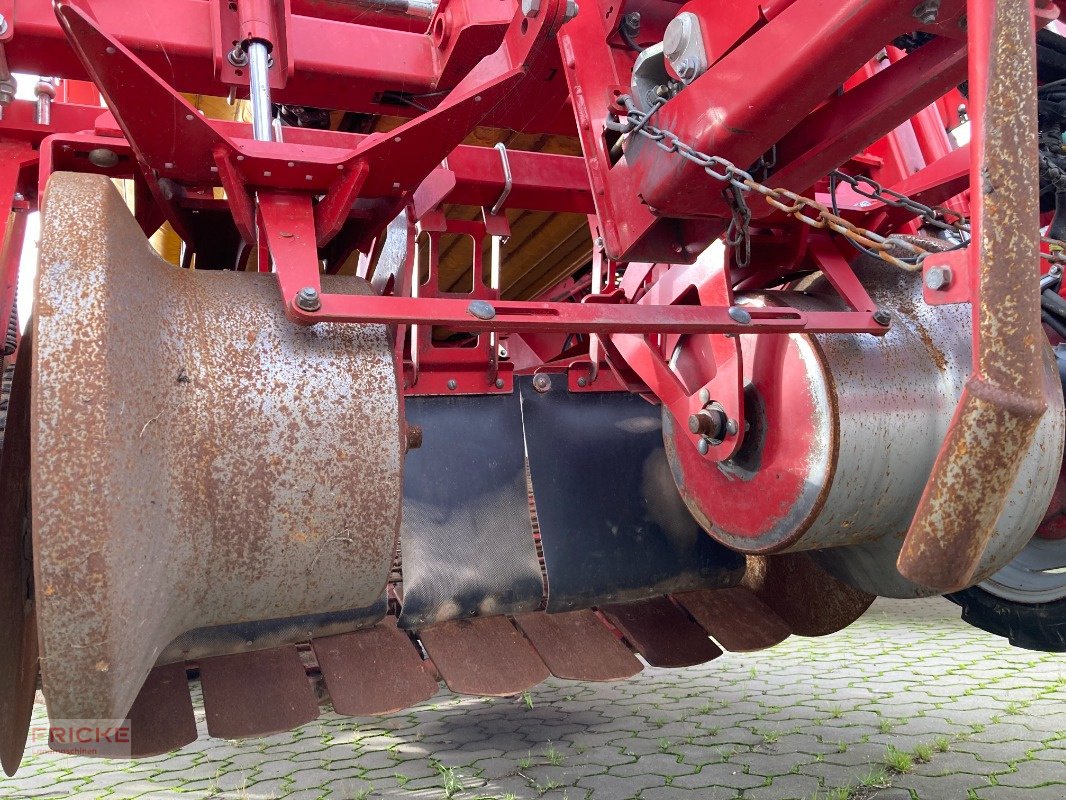 Kartoffelroder tip Grimme Evo 260 UB Nonstop, Gebrauchtmaschine in Bockel - Gyhum (Poză 7)