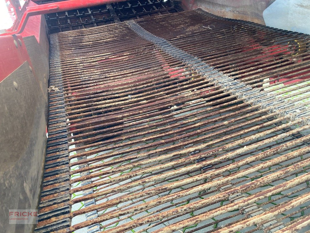 Kartoffelroder vrste Grimme Evo 260 UB Nonstop, Gebrauchtmaschine v Bockel - Gyhum (Slika 31)