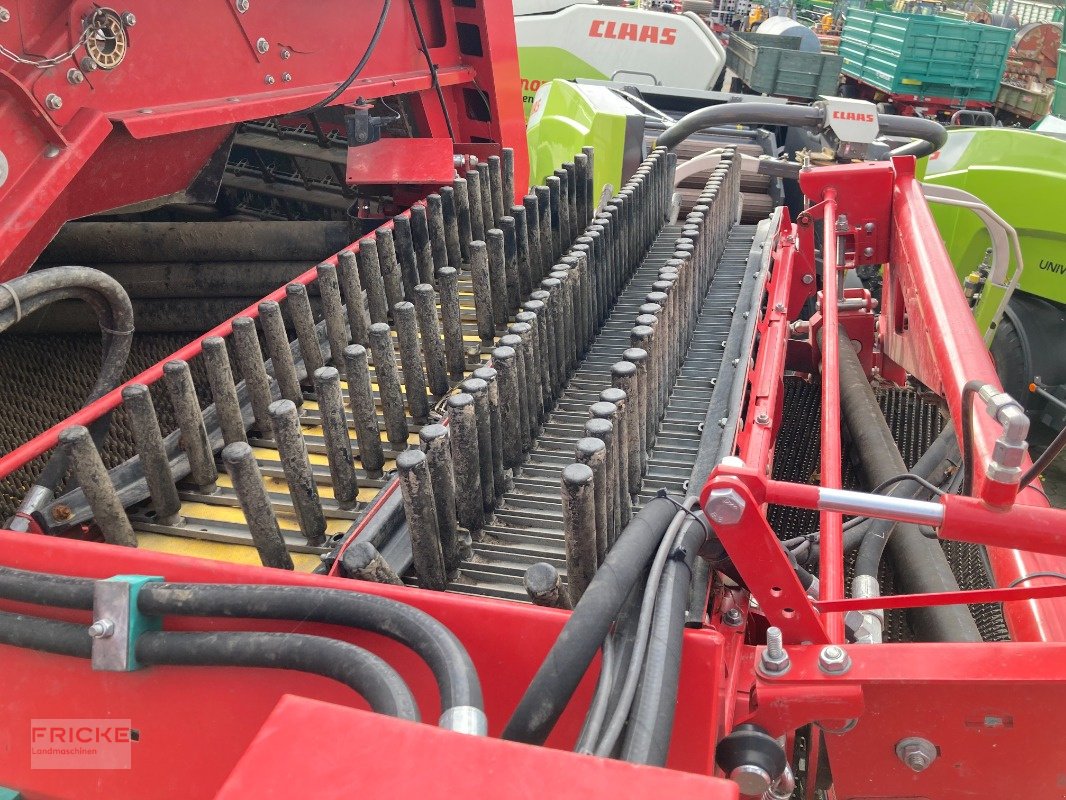 Kartoffelroder tip Grimme Evo 260 UB Nonstop, Gebrauchtmaschine in Bockel - Gyhum (Poză 11)