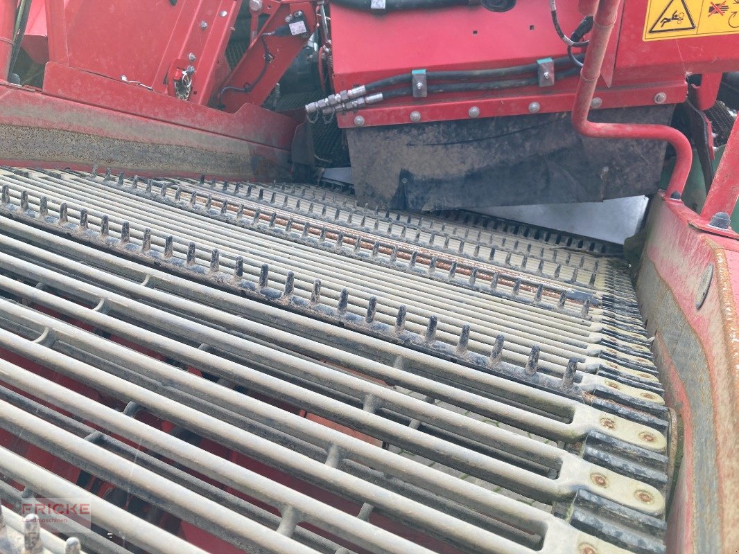 Kartoffelroder tip Grimme Evo 260 UB Nonstop, Gebrauchtmaschine in Bockel - Gyhum (Poză 15)