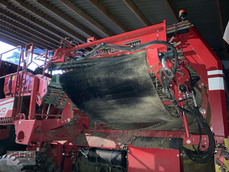 Kartoffelroder типа Grimme Evo 260 UB Nonstop, Gebrauchtmaschine в Bockel - Gyhum (Фотография 13)