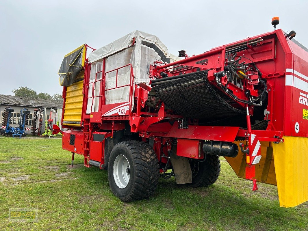 Kartoffelroder des Typs Grimme EVO 260, Neumaschine in Grabow (Bild 8)