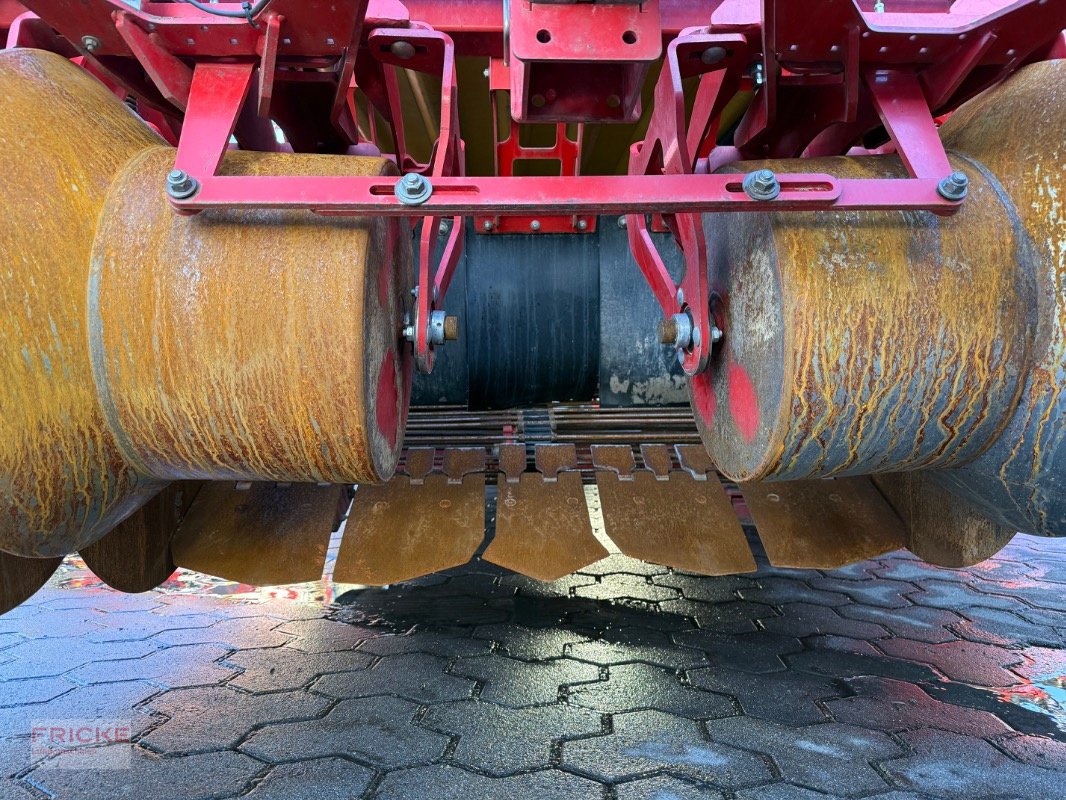 Kartoffelroder del tipo Grimme EVO 280 Clod Sep UB, Gebrauchtmaschine en Bockel - Gyhum (Imagen 5)