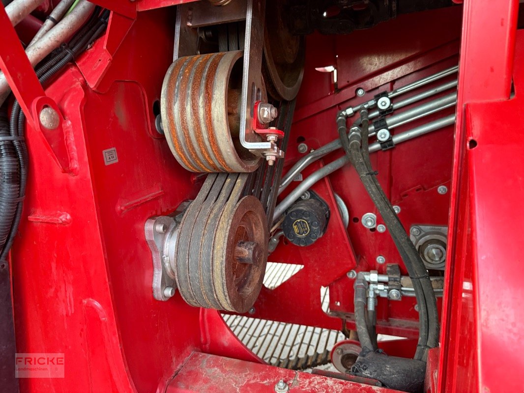 Kartoffelroder del tipo Grimme EVO 280 Clod Sep UB, Gebrauchtmaschine en Bockel - Gyhum (Imagen 11)