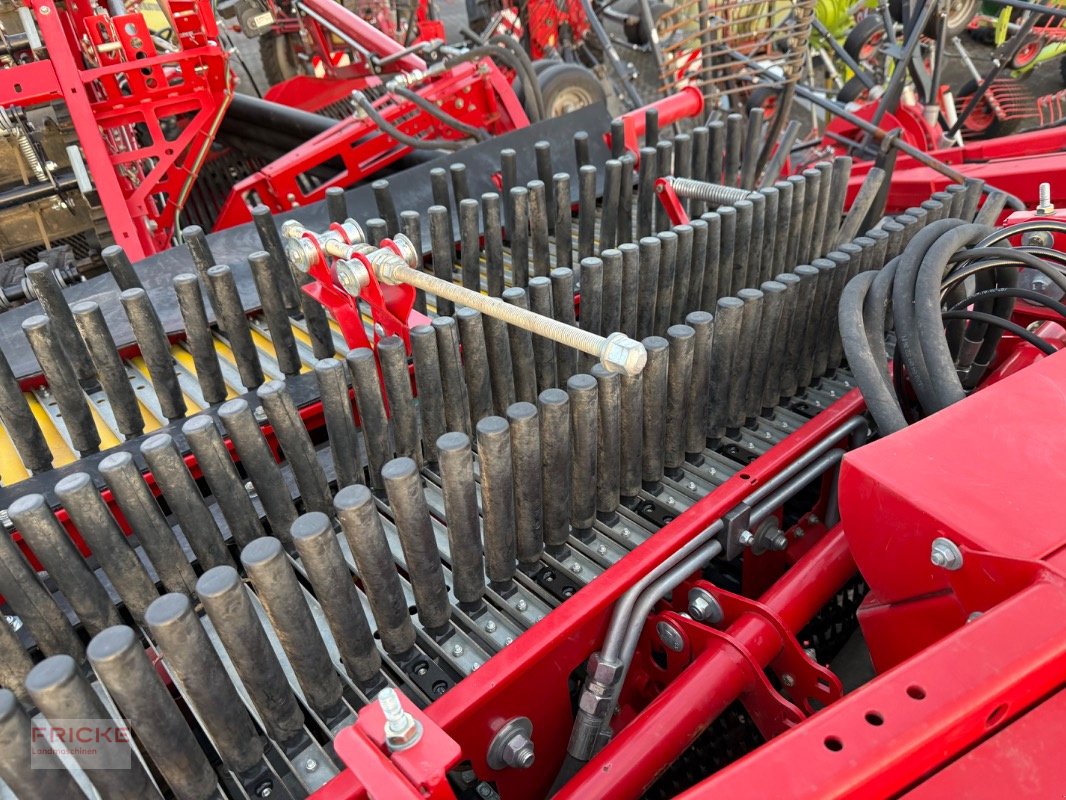 Kartoffelroder del tipo Grimme EVO 280 Clod Sep UB, Gebrauchtmaschine en Bockel - Gyhum (Imagen 16)