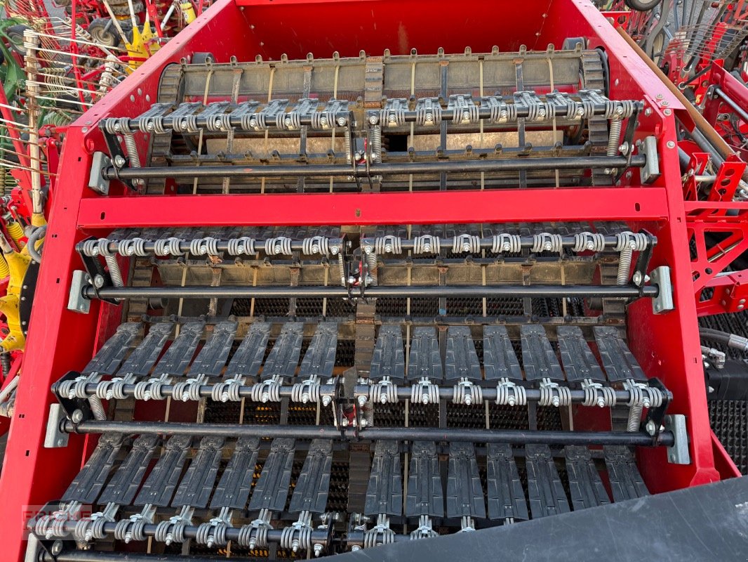 Kartoffelroder del tipo Grimme EVO 280 Clod Sep UB, Gebrauchtmaschine en Bockel - Gyhum (Imagen 22)