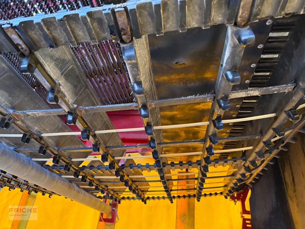 Kartoffelroder of the type Grimme EVO 280 Clod Sep UB, Gebrauchtmaschine in Bockel - Gyhum (Picture 9)