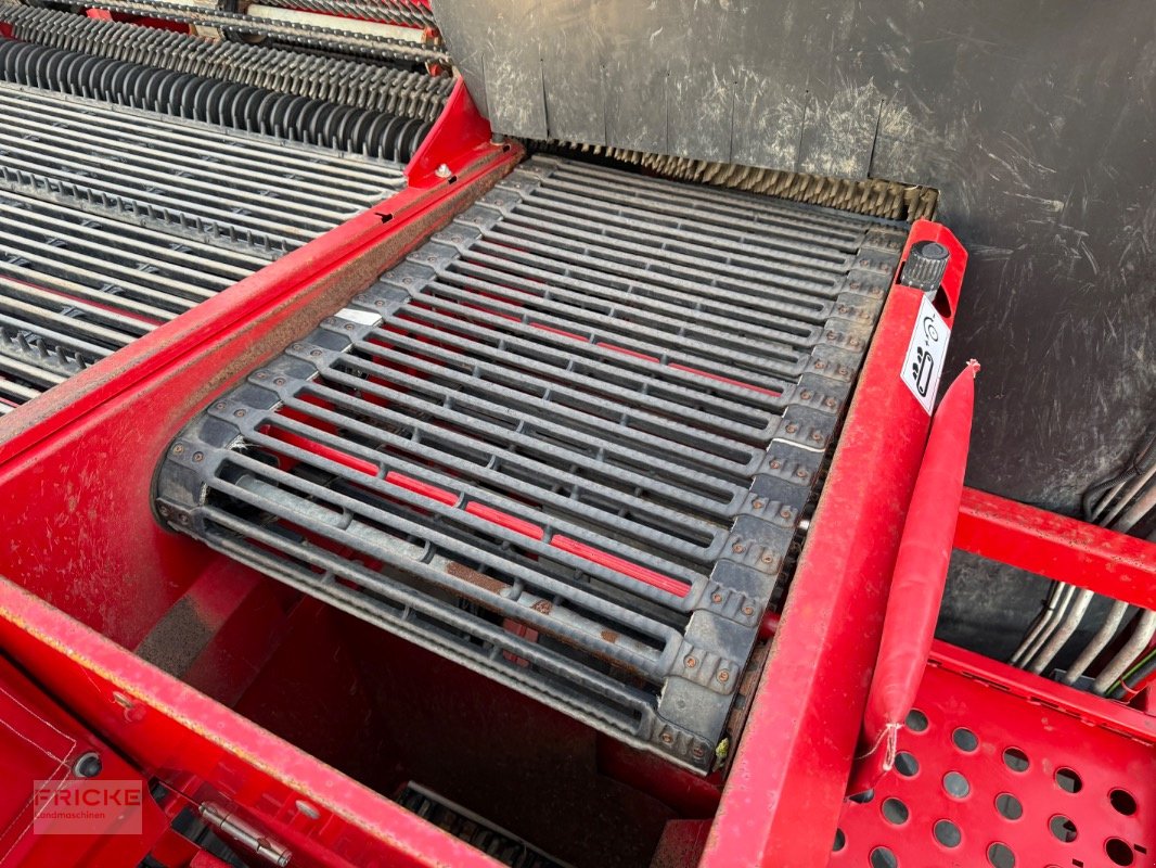 Kartoffelroder of the type Grimme EVO 280 Clod Sep UB, Gebrauchtmaschine in Bockel - Gyhum (Picture 15)