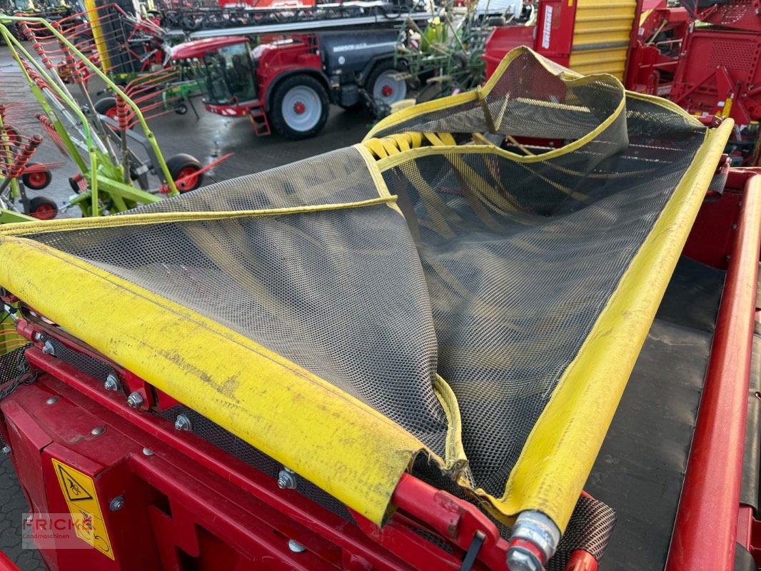 Kartoffelroder of the type Grimme EVO 280 Clod Sep UB, Gebrauchtmaschine in Bockel - Gyhum (Picture 20)