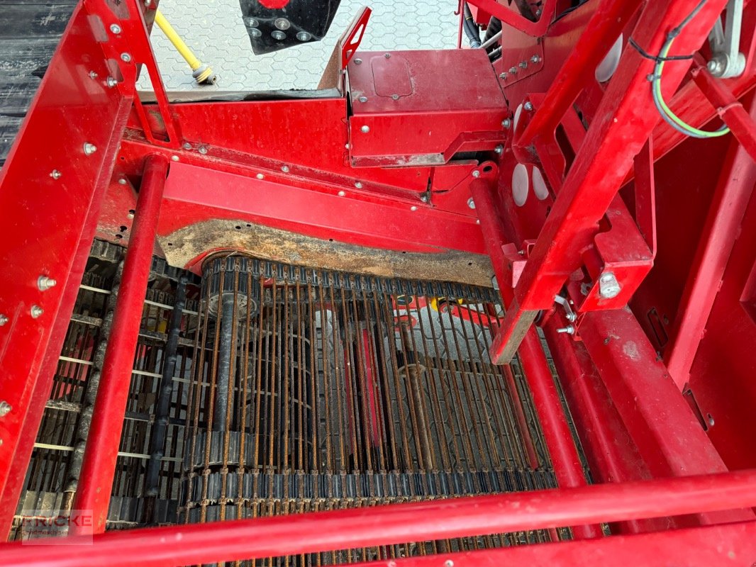 Kartoffelroder of the type Grimme EVO 280 Clod Sep UB, Gebrauchtmaschine in Bockel - Gyhum (Picture 23)