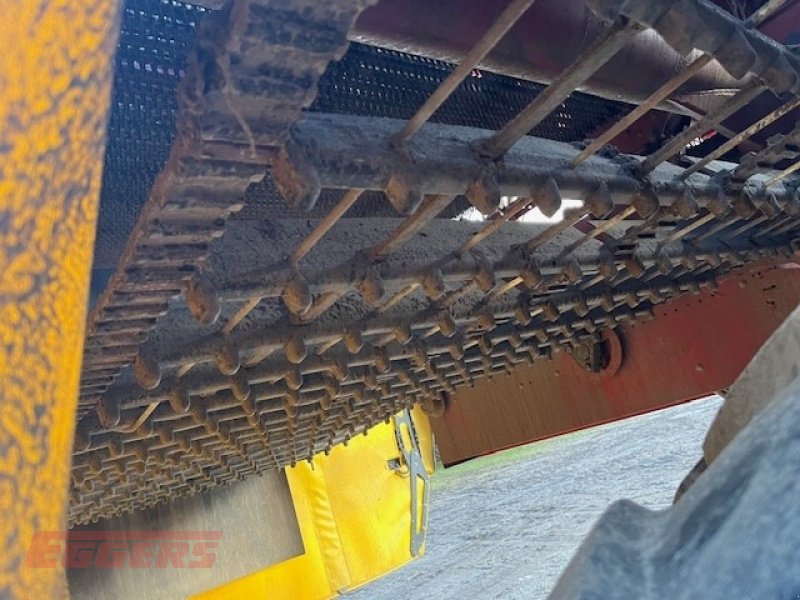 Kartoffelroder des Typs Grimme EVO 280 ClodSep 17, Gebrauchtmaschine in Ebstorf (Bild 12)