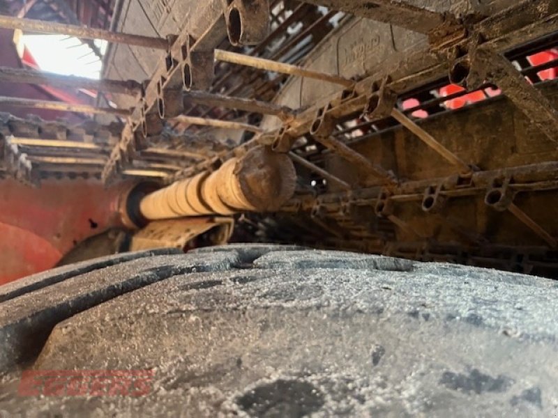 Kartoffelroder des Typs Grimme EVO 280 ClodSep 17, Gebrauchtmaschine in Ebstorf (Bild 13)