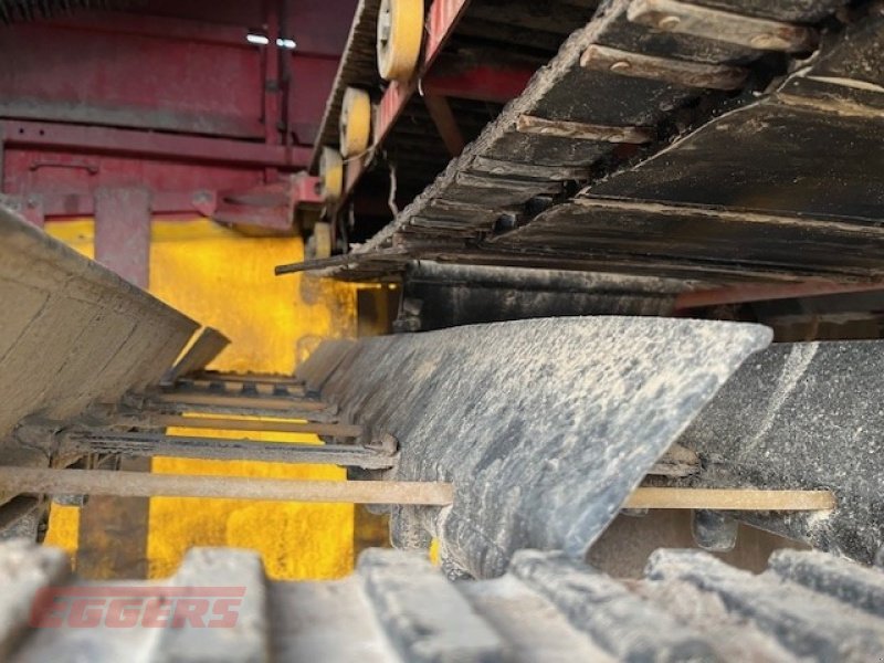 Kartoffelroder des Typs Grimme EVO 280 ClodSep 17, Gebrauchtmaschine in Ebstorf (Bild 17)