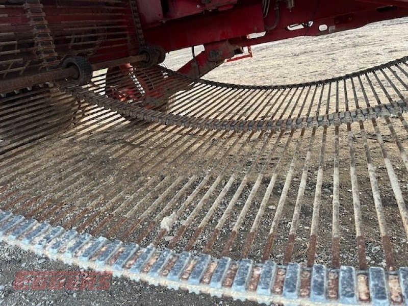 Kartoffelroder des Typs Grimme EVO 280 ClodSep 17, Gebrauchtmaschine in Ebstorf (Bild 10)