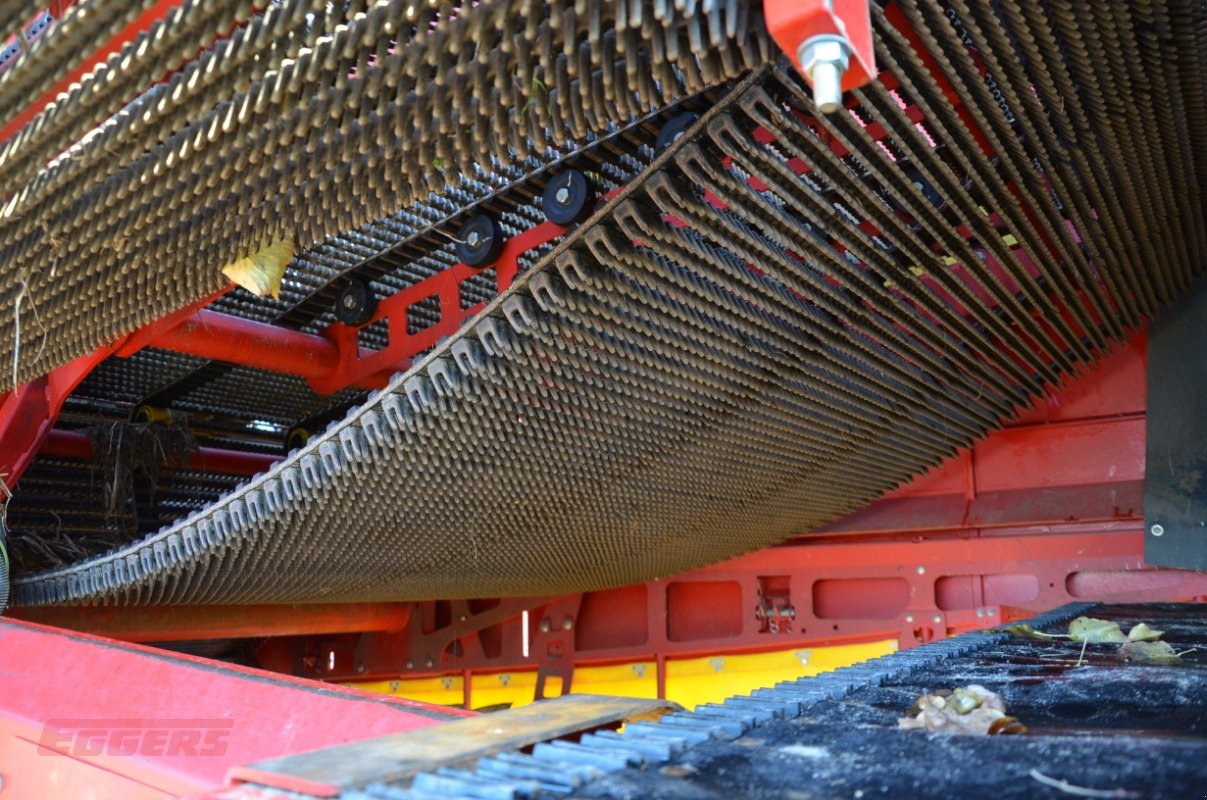 Kartoffelroder typu Grimme EVO 280 ClodSep GEN II, Gebrauchtmaschine v Suhlendorf (Obrázek 11)