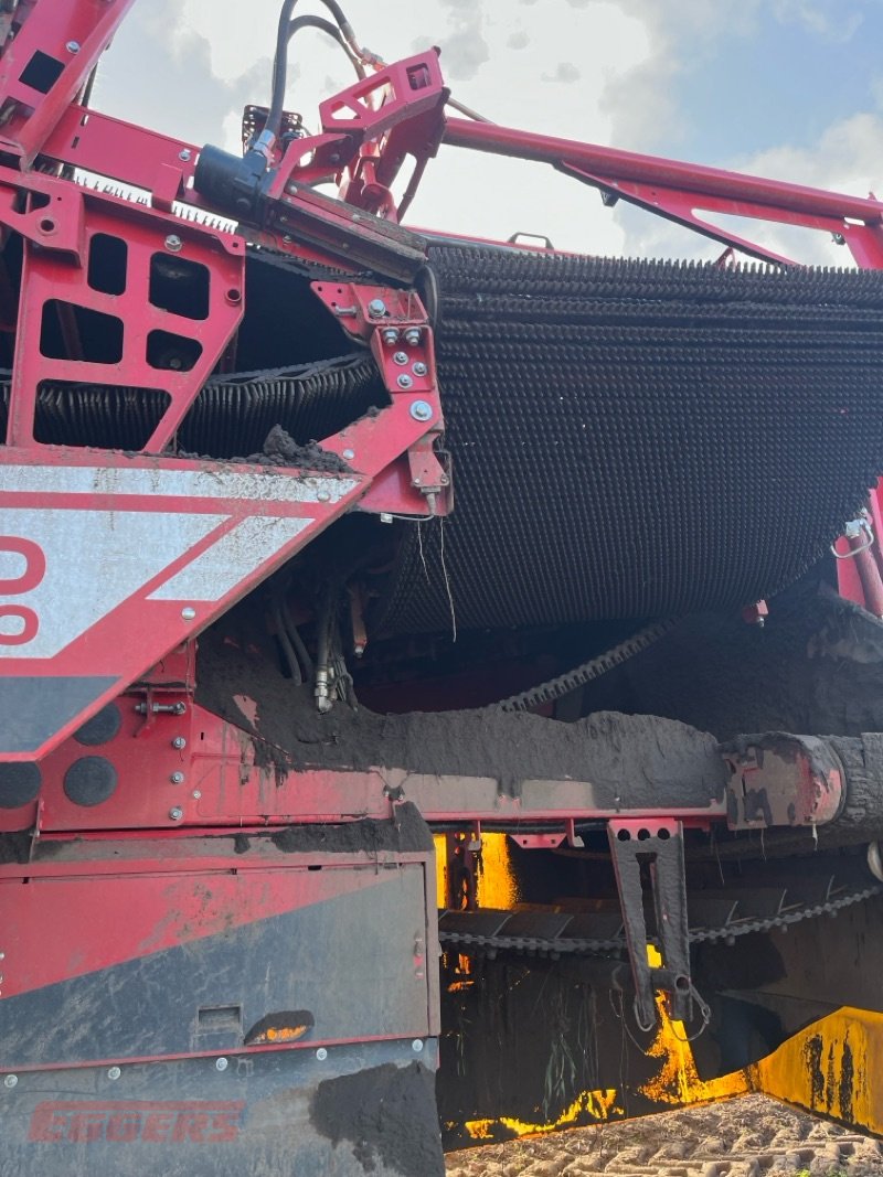 Kartoffelroder типа Grimme EVO 280 ClodSep GEN II, Gebrauchtmaschine в Suhlendorf (Фотография 9)