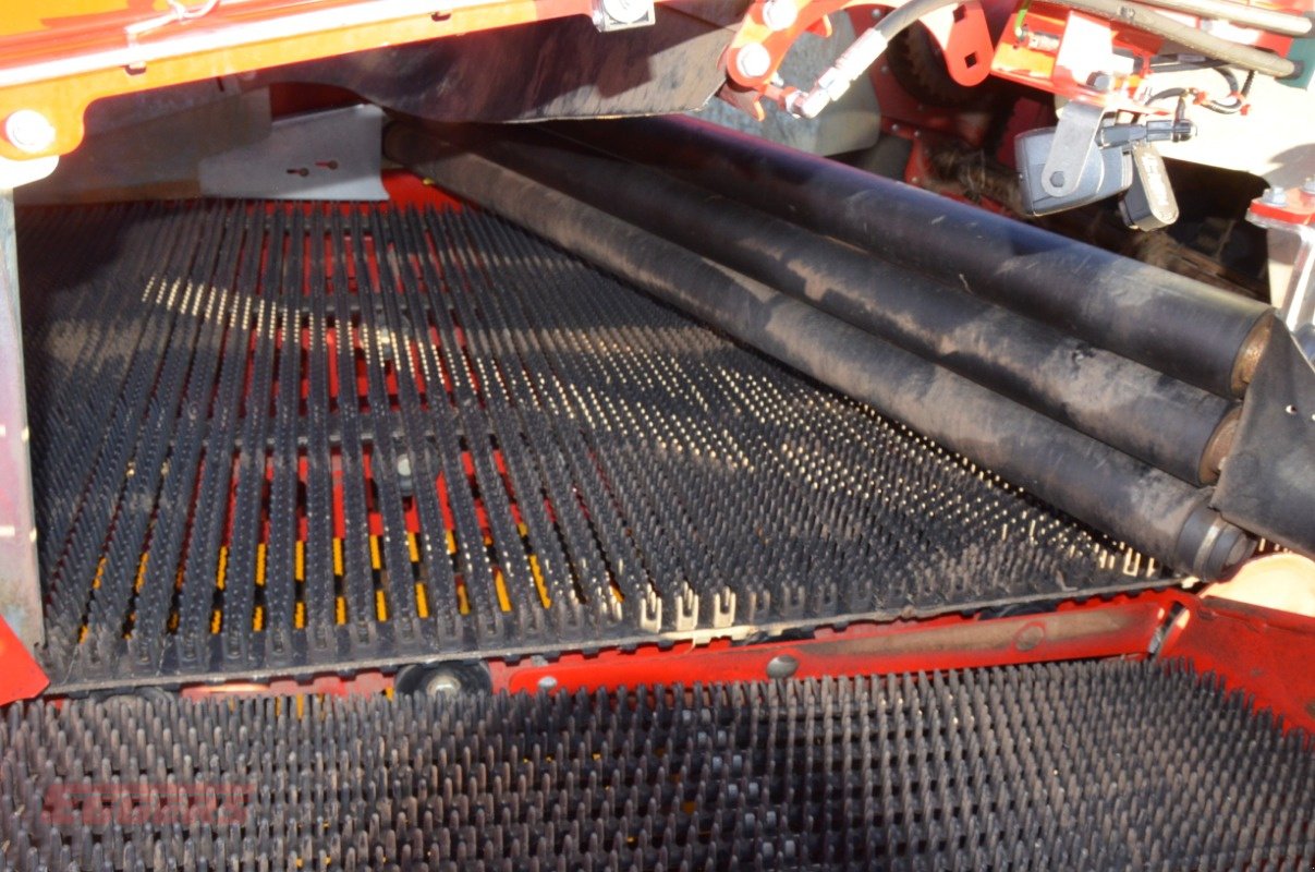 Kartoffelroder van het type Grimme EVO 280 ClodSep GEN II, Gebrauchtmaschine in Suhlendorf (Foto 21)