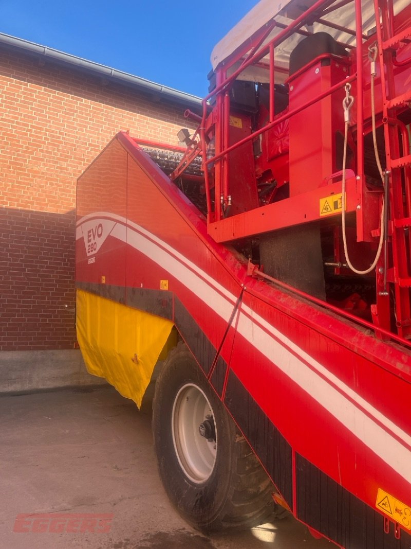 Kartoffelroder del tipo Grimme EVO 280 ClodSep NonStop GENII, Gebrauchtmaschine In Suhlendorf (Immagine 2)