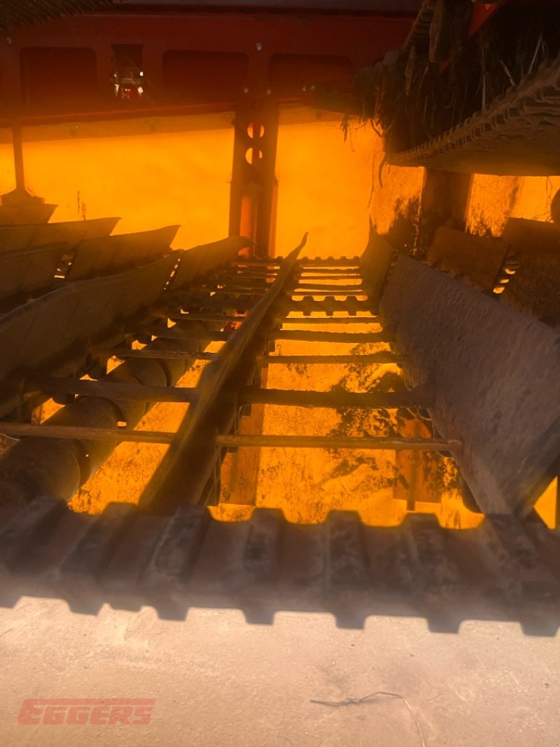 Kartoffelroder del tipo Grimme EVO 280 ClodSep NonStop GENII, Gebrauchtmaschine In Suhlendorf (Immagine 8)