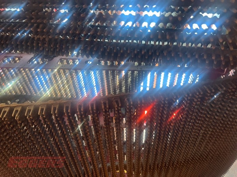 Kartoffelroder del tipo Grimme EVO 280 ClodSep NonStop GENII, Gebrauchtmaschine In Suhlendorf (Immagine 10)