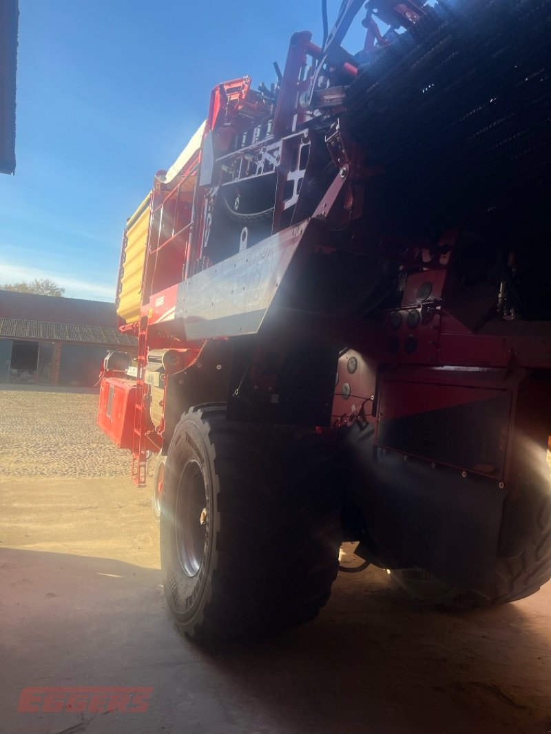 Kartoffelroder del tipo Grimme EVO 280 ClodSep NonStop GENII, Gebrauchtmaschine In Suhlendorf (Immagine 11)