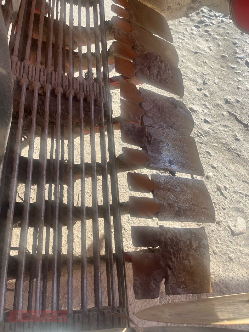 Kartoffelroder del tipo Grimme EVO 280 ClodSep NonStop GENII, Gebrauchtmaschine In Suhlendorf (Immagine 13)