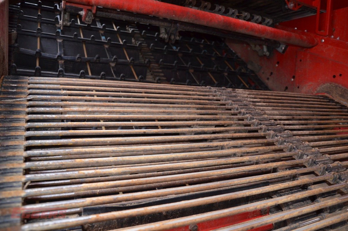 Kartoffelroder типа Grimme EVO 280 ClodSep NonStop, Gebrauchtmaschine в Suhlendorf (Фотография 8)