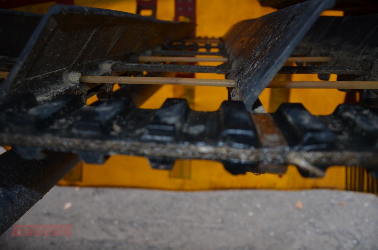 Kartoffelroder типа Grimme EVO 280 ClodSep NonStop, Gebrauchtmaschine в Suhlendorf (Фотография 12)