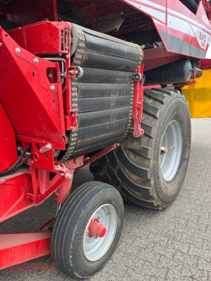 Kartoffelroder des Typs Grimme EVO 280 ClodSep, Gebrauchtmaschine in Suhlendorf (Bild 5)