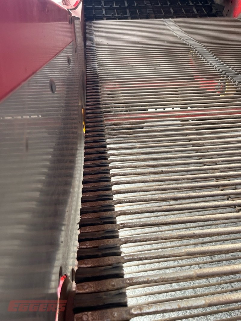 Kartoffelroder des Typs Grimme EVO 280 ClodSep, Gebrauchtmaschine in Suhlendorf (Bild 18)