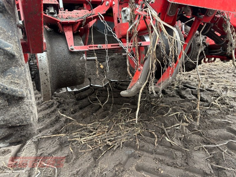 Kartoffelroder du type Grimme EVO 280 ClodSep, Gebrauchtmaschine en Suhlendorf (Photo 2)