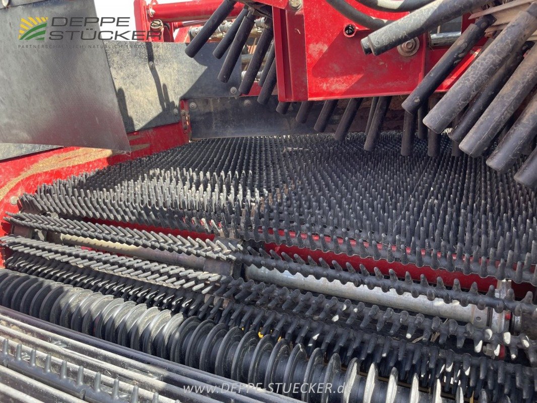 Kartoffelroder typu Grimme EVO 280, Gebrauchtmaschine v Beckum (Obrázek 12)