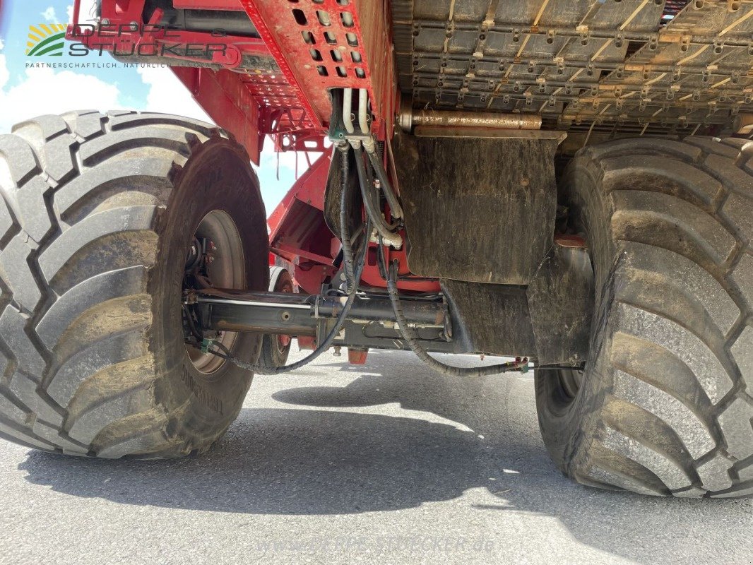 Kartoffelroder typu Grimme EVO 280, Gebrauchtmaschine v Beckum (Obrázek 20)