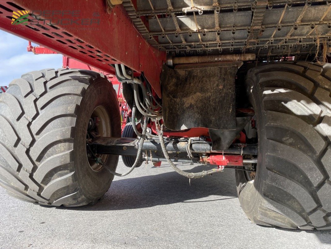 Kartoffelroder typu Grimme EVO 280, Gebrauchtmaschine v Beckum (Obrázek 18)