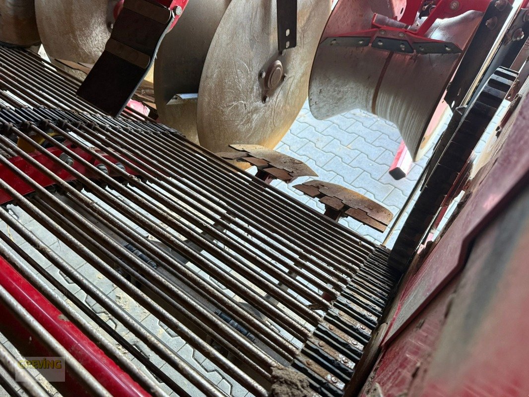 Kartoffelroder a típus Grimme Evo 280, Gebrauchtmaschine ekkor: Ahaus (Kép 5)