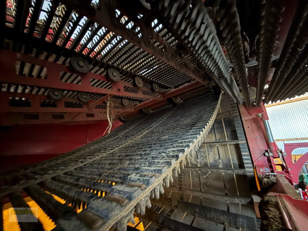 Kartoffelroder a típus Grimme Evo 280, Gebrauchtmaschine ekkor: Ahaus (Kép 9)