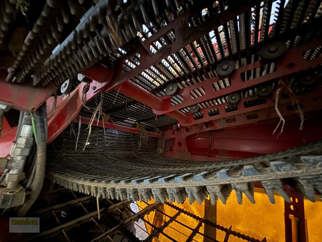 Kartoffelroder a típus Grimme Evo 280, Gebrauchtmaschine ekkor: Ahaus (Kép 10)