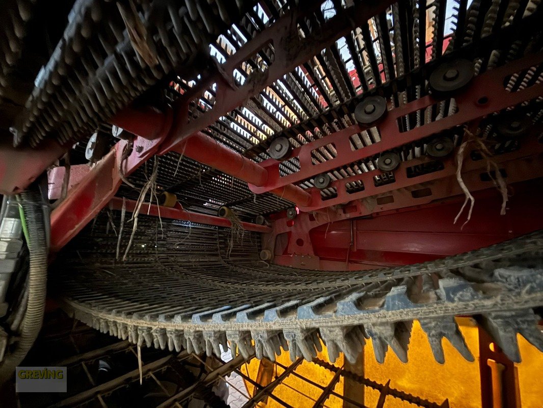 Kartoffelroder a típus Grimme Evo 280, Gebrauchtmaschine ekkor: Ahaus (Kép 11)