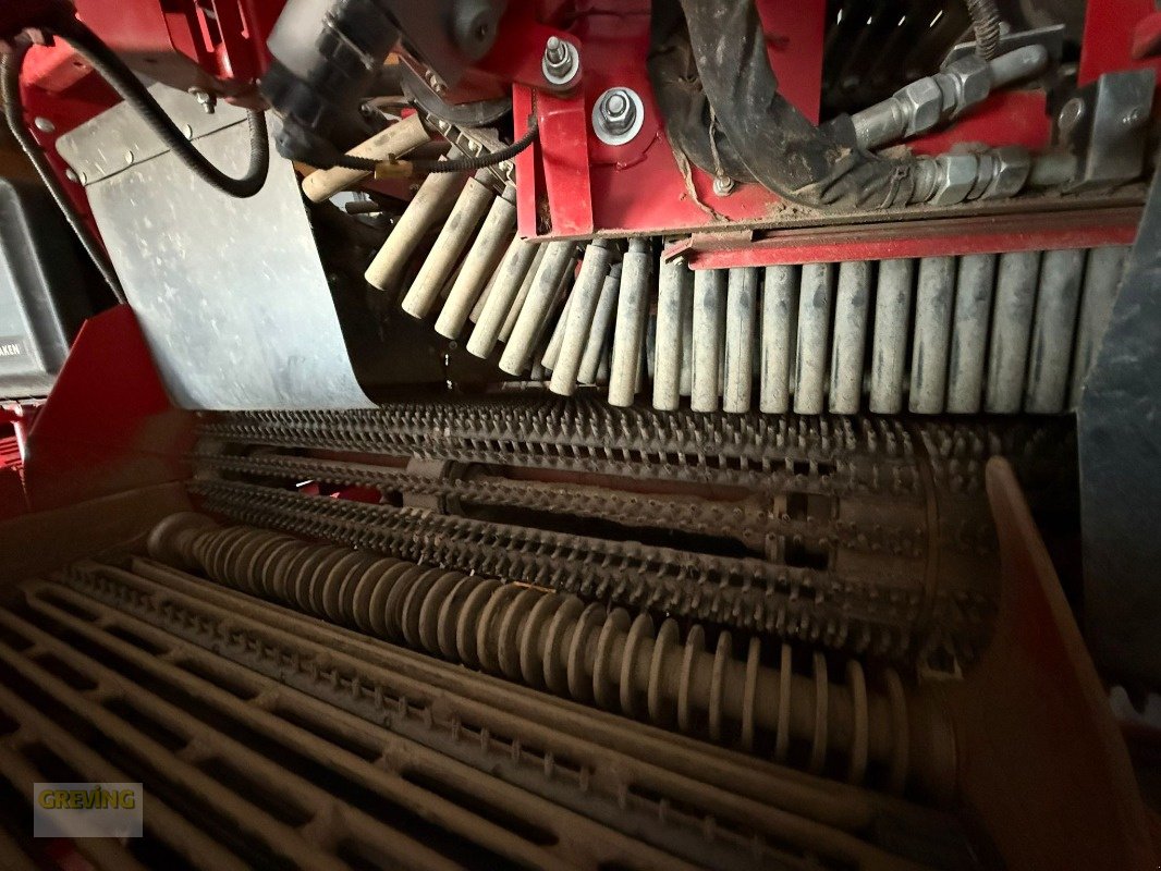 Kartoffelroder a típus Grimme Evo 280, Gebrauchtmaschine ekkor: Ahaus (Kép 14)