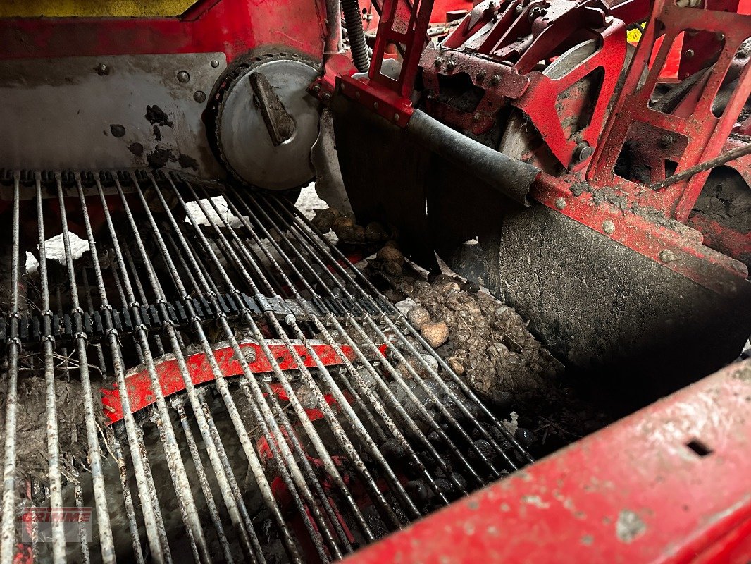 Kartoffelroder a típus Grimme EVO 290 AirSep, Gebrauchtmaschine ekkor: Rødkærsbro (Kép 4)