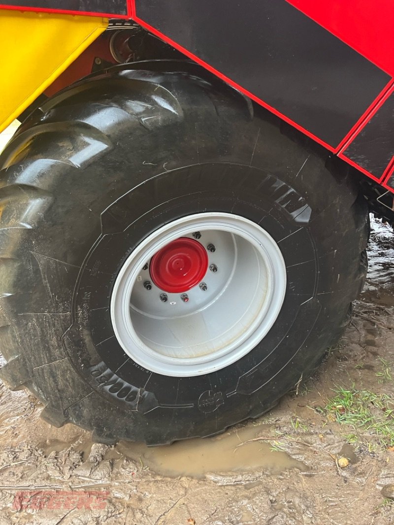 Kartoffelroder typu Grimme EVO 290 ClodSep, Gebrauchtmaschine v Suhlendorf (Obrázek 4)