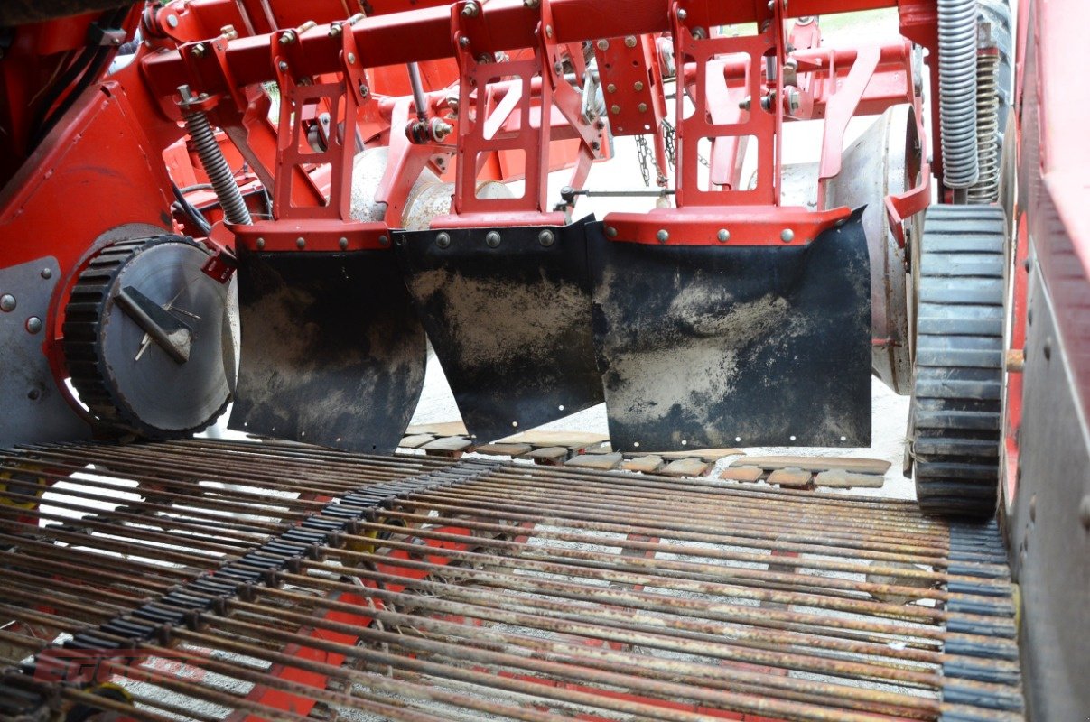 Kartoffelroder des Typs Grimme EVO 290 ClodSep, Gebrauchtmaschine in Suhlendorf (Bild 8)