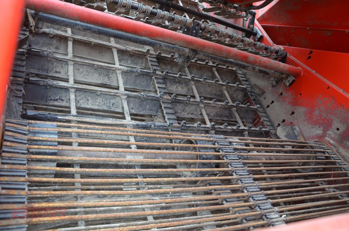 Kartoffelroder des Typs Grimme EVO 290 ClodSep, Gebrauchtmaschine in Suhlendorf (Bild 9)