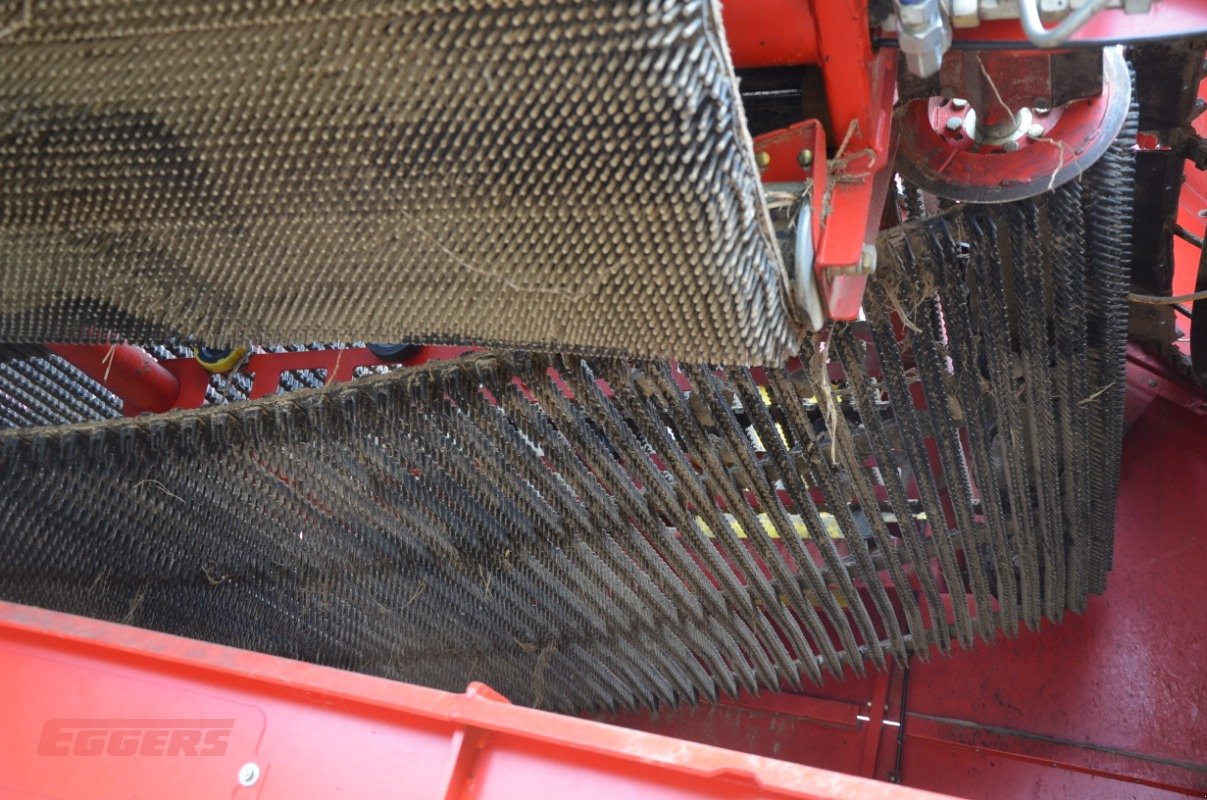 Kartoffelroder des Typs Grimme EVO 290 ClodSep, Gebrauchtmaschine in Suhlendorf (Bild 11)