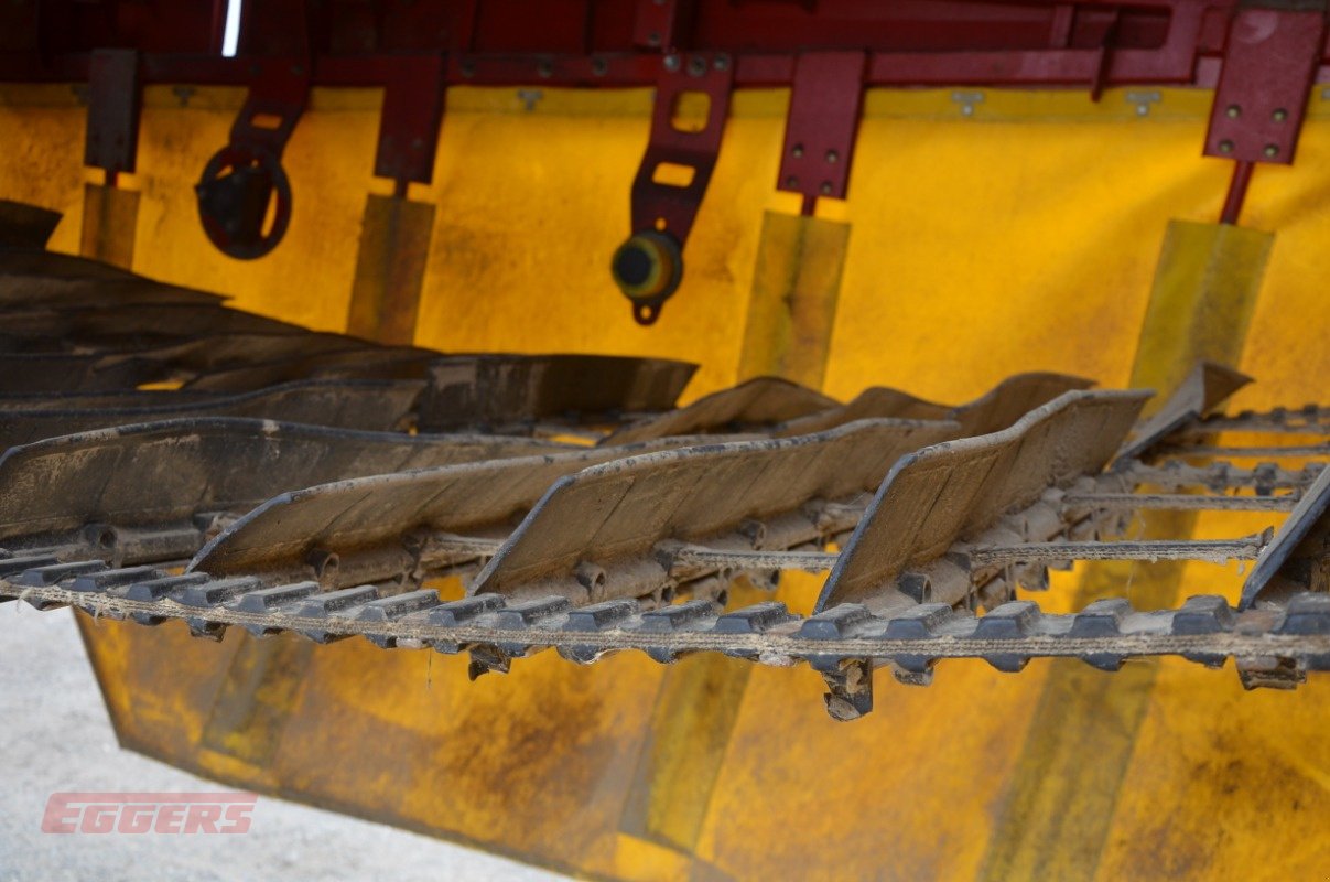 Kartoffelroder des Typs Grimme EVO 290 ClodSep, Gebrauchtmaschine in Suhlendorf (Bild 12)