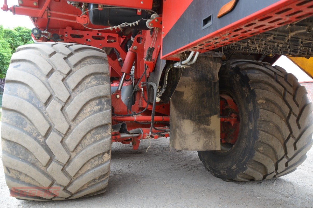 Kartoffelroder des Typs Grimme EVO 290 ClodSep, Gebrauchtmaschine in Suhlendorf (Bild 13)