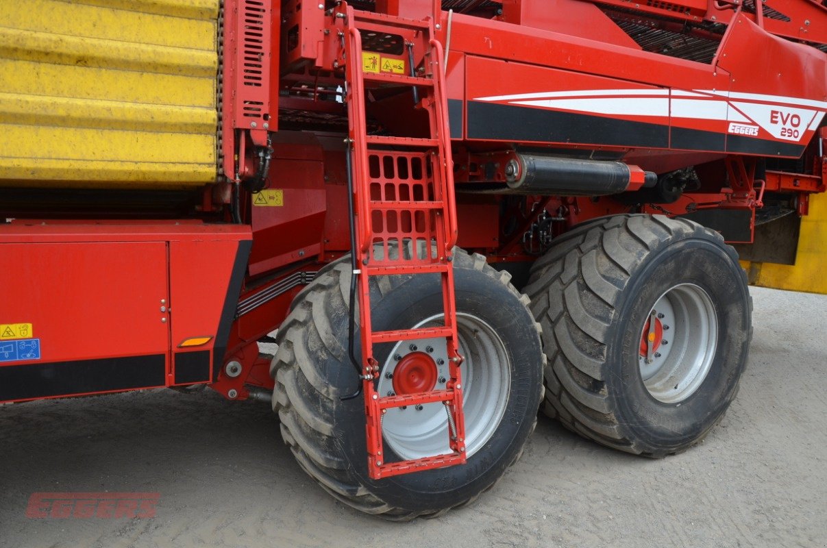 Kartoffelroder des Typs Grimme EVO 290 ClodSep, Gebrauchtmaschine in Suhlendorf (Bild 22)