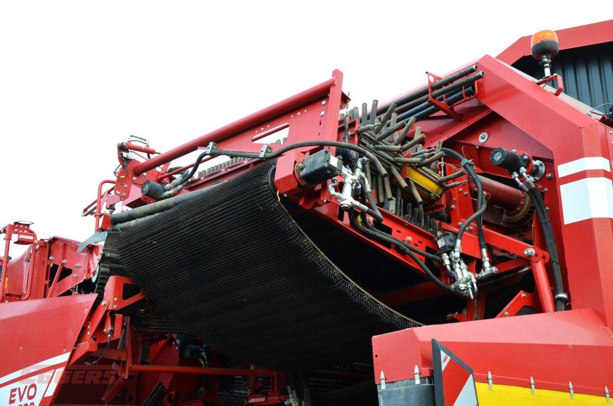 Kartoffelroder типа Grimme EVO 290 ClodSep, Gebrauchtmaschine в Suhlendorf (Фотография 10)