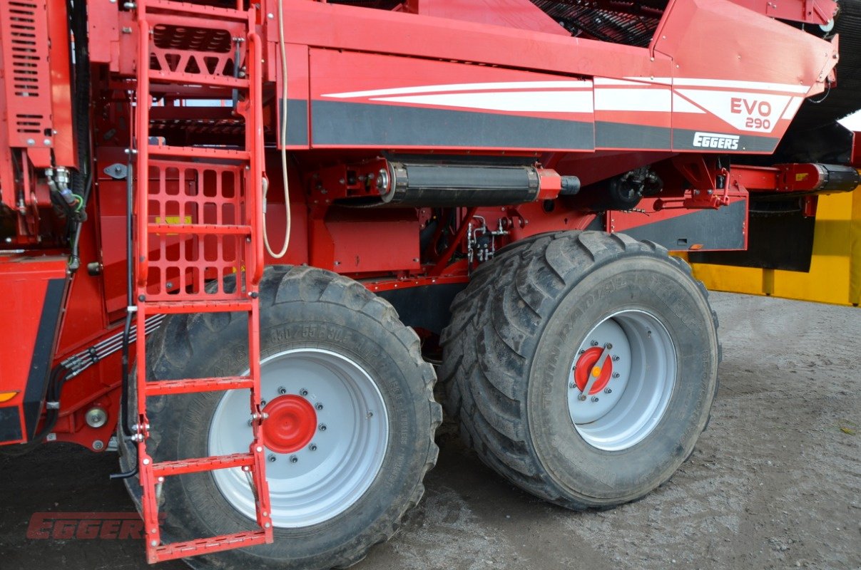 Kartoffelroder типа Grimme EVO 290 ClodSep, Gebrauchtmaschine в Suhlendorf (Фотография 24)